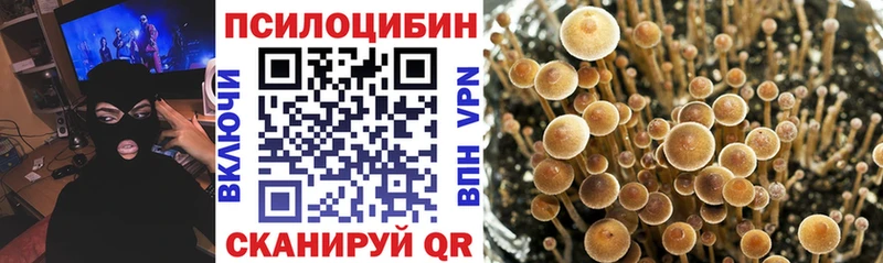 shop состав  купить закладку  Спас-Клепики  Псилоцибиновые грибы GOLDEN TEACHER 